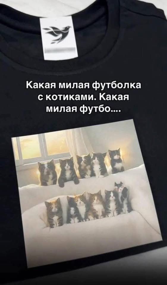 Какая милая футболка с котиками. Какая милая фут...