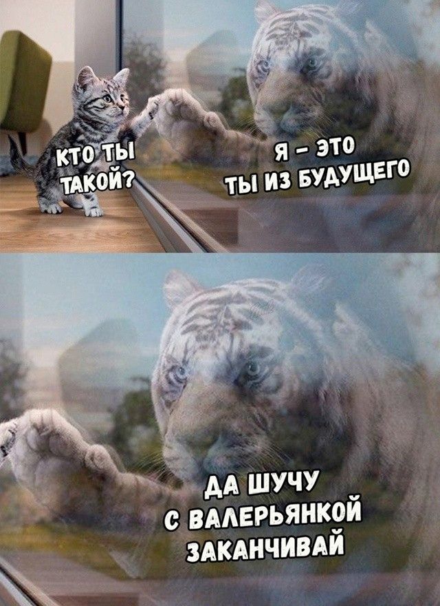 Кто ты такой? Я - это ты из будущего. Да шучу с валерьянкой заканчивай.