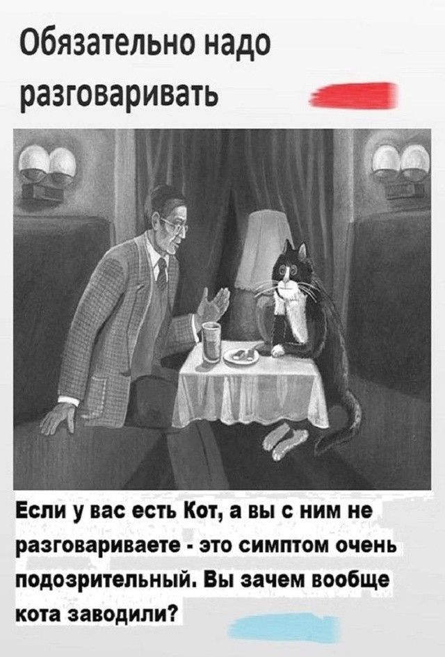 Обязательно надо разговаривать

Если у вас есть Кот, а вы с ним не разговариваете - это симптом очень подозрительный. Вы зачем вообще кота заводили?