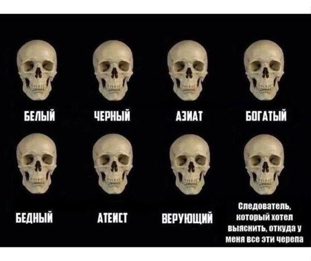 Следователь, который хотел выяснить, откуда у меня все эти черепа