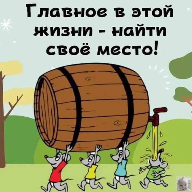 Главное в этой жизни - найти своё место!