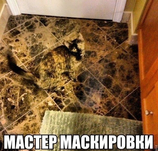 МАСТЕР МАСКИРОВКИ