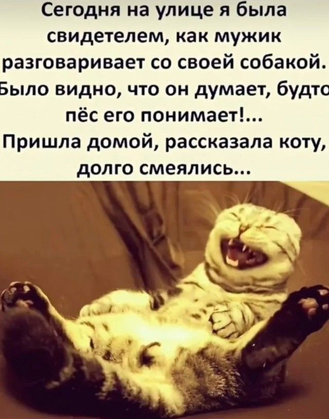 Сегодня на улице я была свидетелем, как мужик разговаривает со своей собакой. Было видно, что он думает, будто пёс его понимает!... Пришла домой, рассказала коту, долго смеялись...