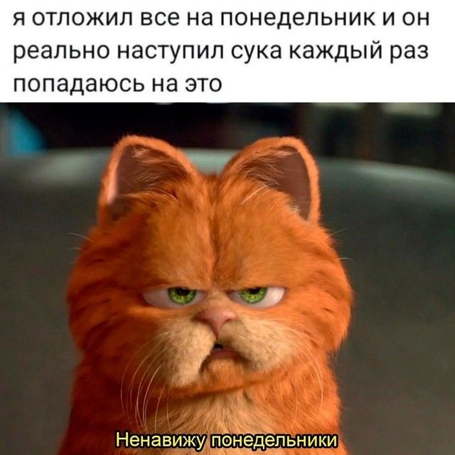 я отложил все на понедельник и он реально наступил сука каждый раз попадаюсь на это
Ненавижу понедельники