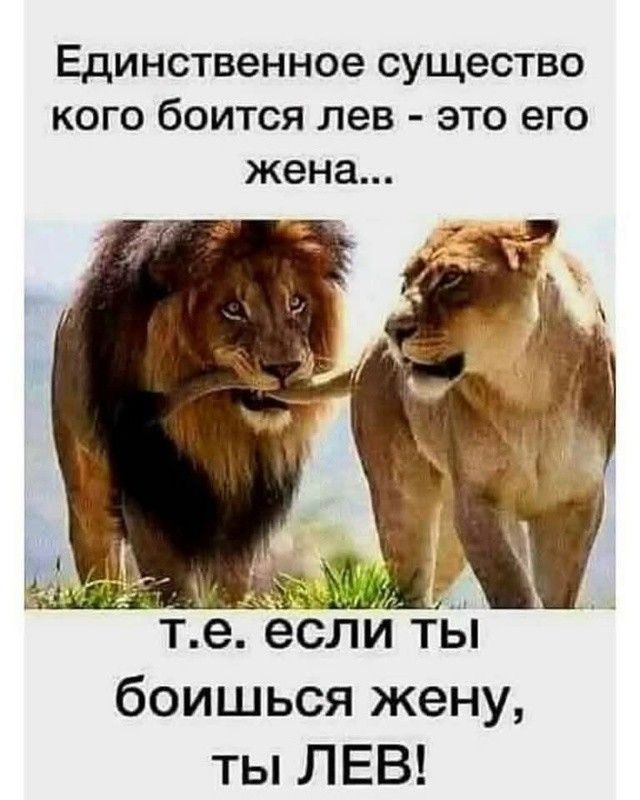 Единственное существо кого боится лев - это его жена...
t.е. если ты боишься жену, ты ЛЕВ!