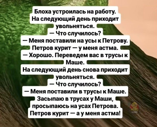 Блоха устроилась на работу.
На следующий день приходит увольняться.
— Что случилось?
— Меня поставили на усы к Петрову.
Петров курит — у меня астма.
— Хорошо. Переведем вас в трусы к Маше.
На следующий день снова приходит увольняться.
— Что случилось?
— Меня поставили в трусы к Маше.
Засыпаю в трусах у Маши, просыпаюсь на усах Петрова.
Петров курит — а у меня астма!