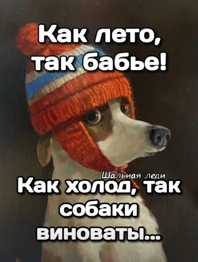 Как лето, так бабье! Как холод, так собаки виноваты...