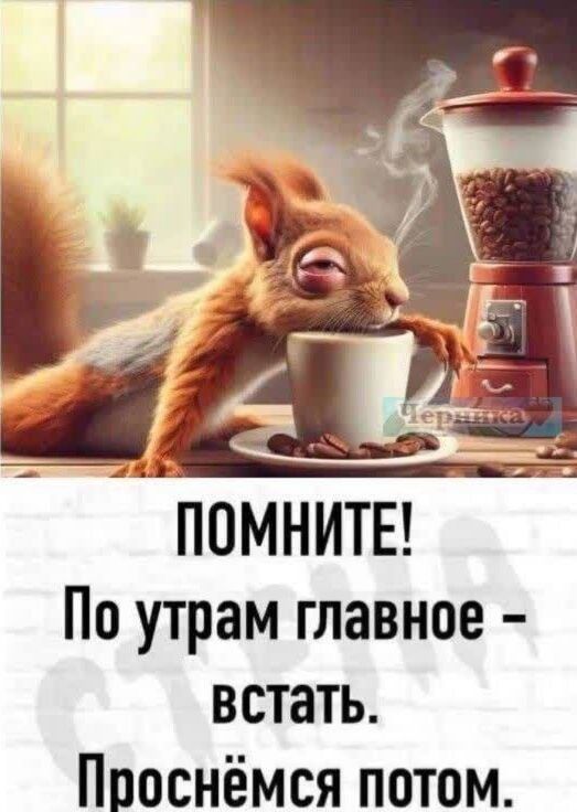 ПОМНИТЕ! По утрам главное - встать. Проснёмся потом.