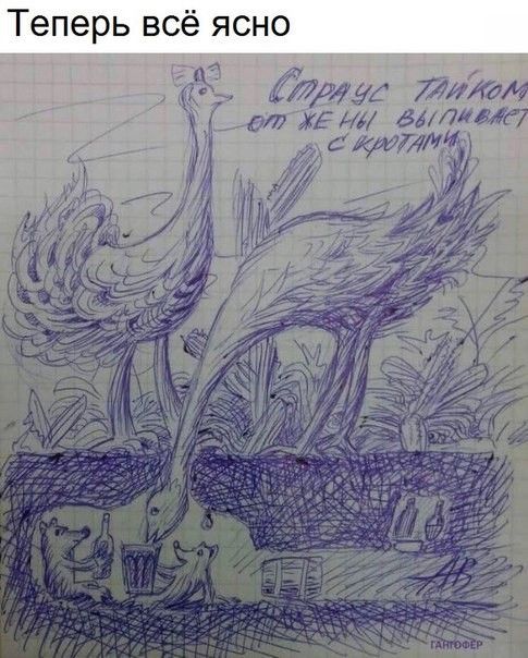 Теперь всё ясно
Страус тайком от неё выпрыгивает с курятами