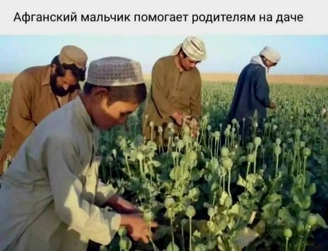 Афганский мальчик помогает родителям на даче