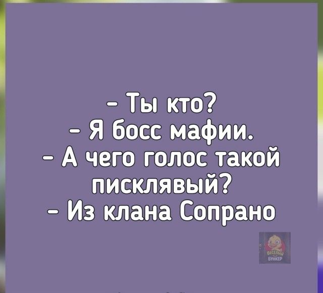 — Ты кто?
— я босс мафии.
— А чего голос такой писклявый?
— Из клана Сопрано