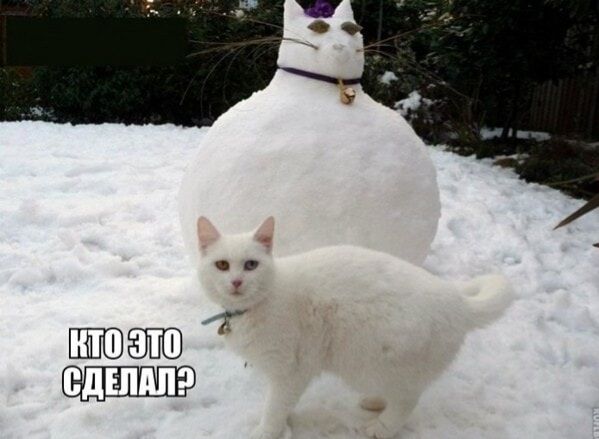 КТО ЭТО СДЕЛАЛ?