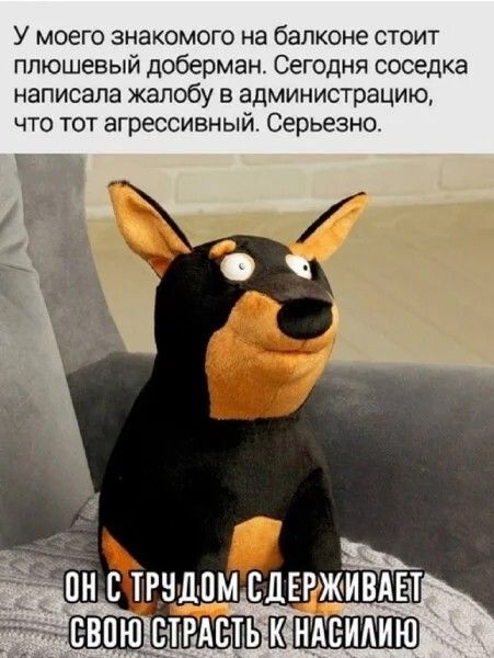 У моего знакомого на балконе стоит плюшевый doBERmAn. Сегодня соседка написала жалобу в администрацию, что тот агрессивный. Серьезно.\nОН С ТРУДОМ СДЕРЖИВАЕТ СВОЮ СТРАСТЬ К НАСИЛИЮ