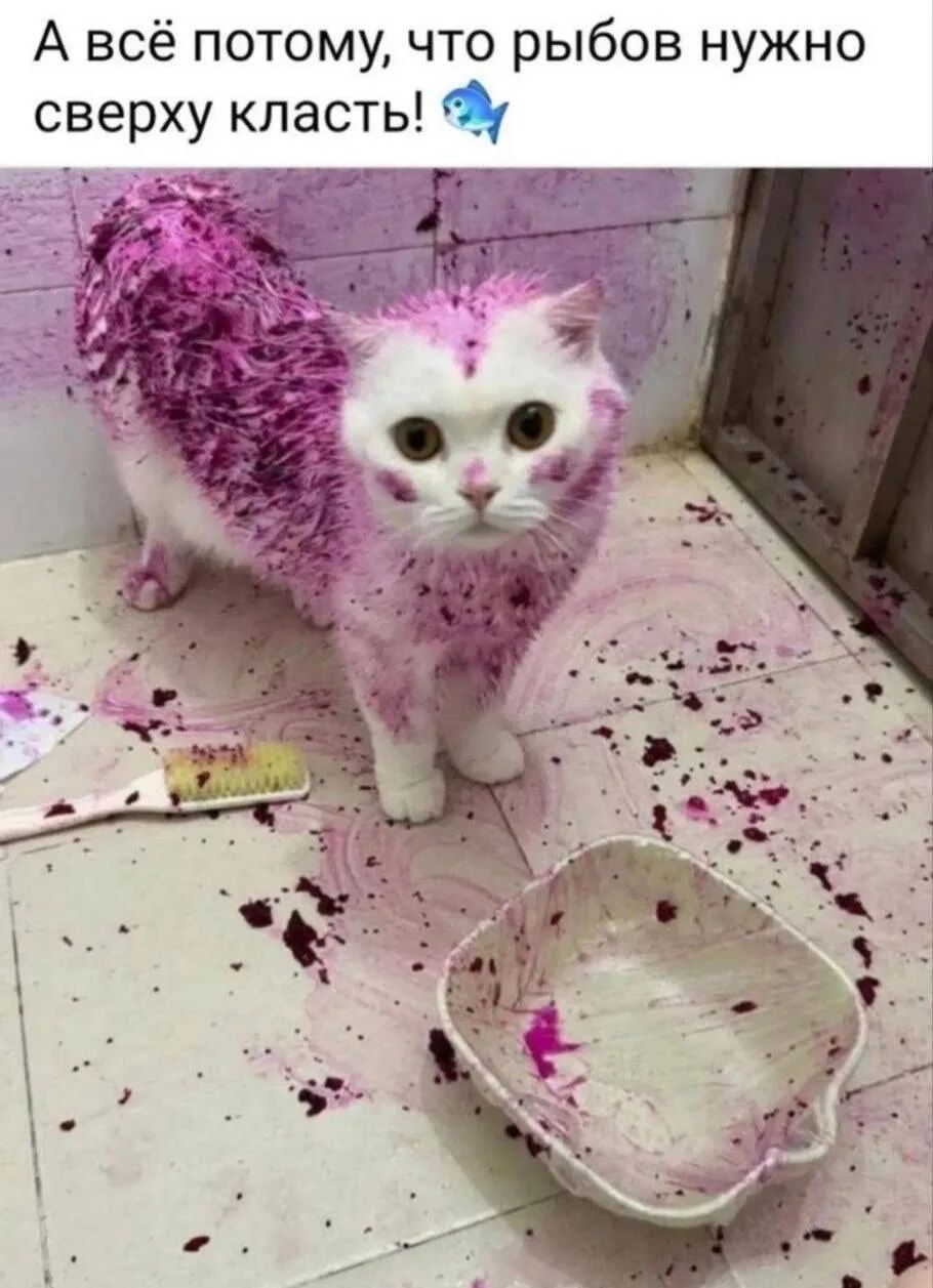 А всё потому, что рыбу нужно сверху класть!