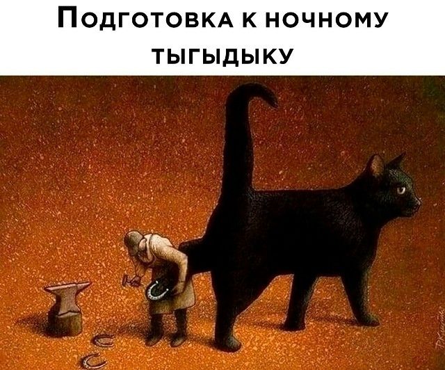 Подготовка к ночному тыгыдыку