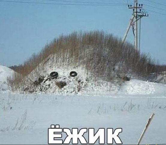 ЁЖИК