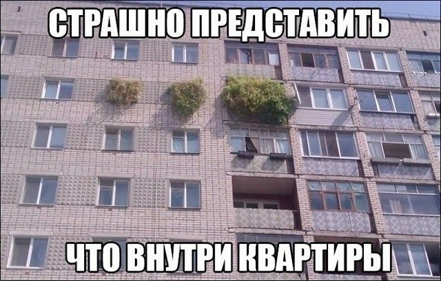 СТРАШНО ПРЕДСТАВИТЬ ЧТО ВНУТРИ КВАРТИРЫ