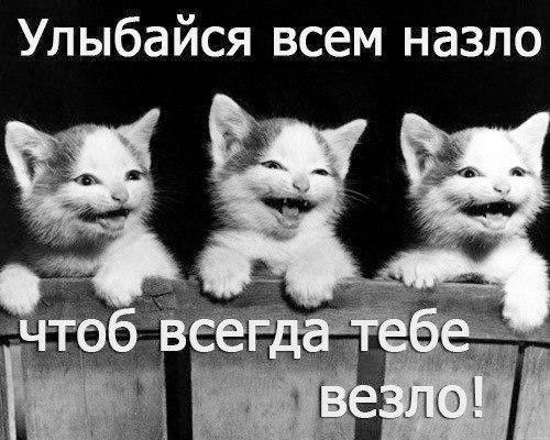 Улыбайся всем назло чтобы всегда тебе везло!