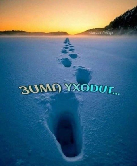 ЗИМА УХОДИТ...
Марина Шевчук