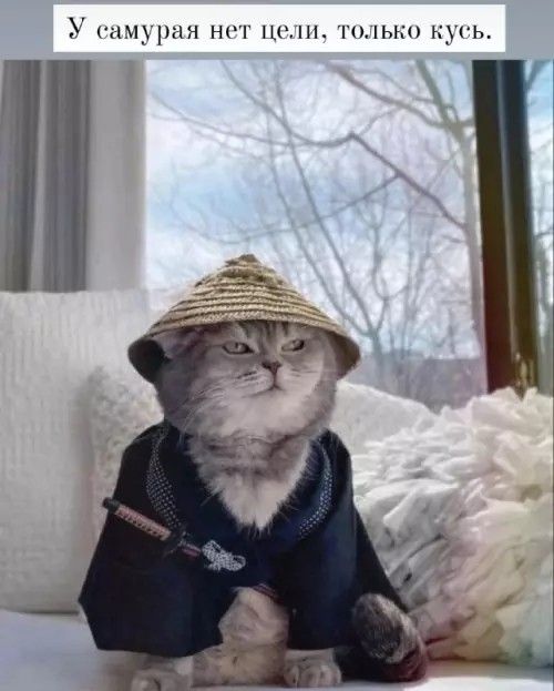 У самурая нет цели, только кусь.