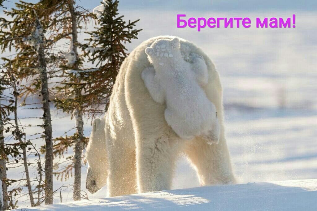 Берегите мам