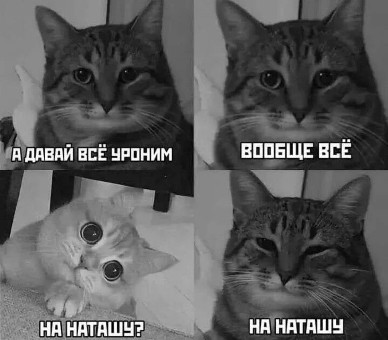 ВПЕЕЩЕ _ нЕЁ Птица