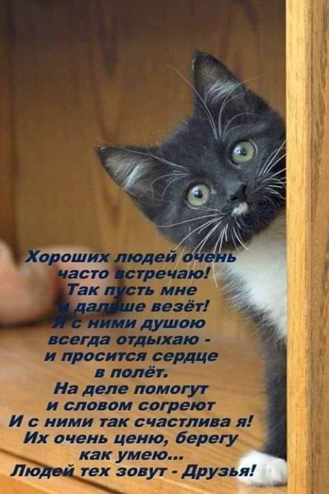 На делеломогут и словом сайте И с ними так счастлива Их очень ценю берегу