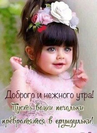 брого и нежного утра ть ши пыщ даташит арииНдыш