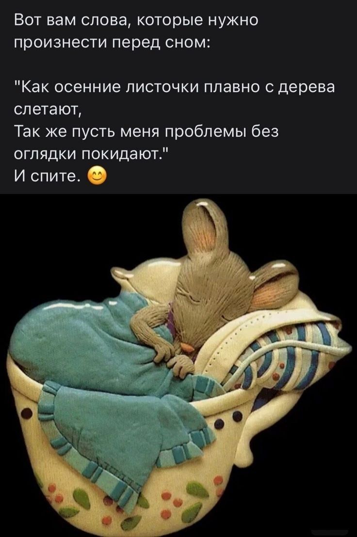 Вот вам слова которые нужно произнести перед сном Как осенние листочки плавно дерева слетают Так же пусть меня проблемы без оглядки покидают И спите