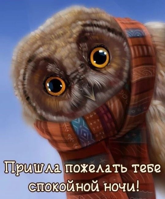 пожемть теве епэкэйной ночи