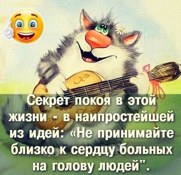 крет п оя в этои жизни 3итіростейпілей из идей НеЖринимайте близко к сердцу больных на голову людей