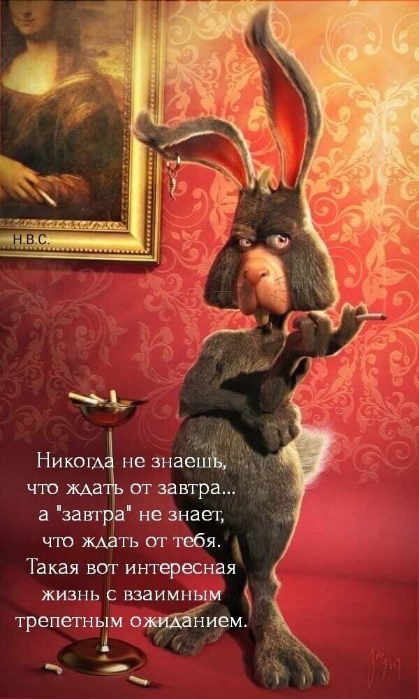 Никог что жАа огг завтра а завт а не знает что мать от тебя Такая вот интересная ЖИЗНЬ С ВЗЗИМНЬХМ трепетным ХЁйием а _
