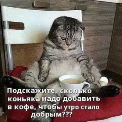 ПодспЁа коиья _ дрд авить в кофе чтоБы утро стало добрым