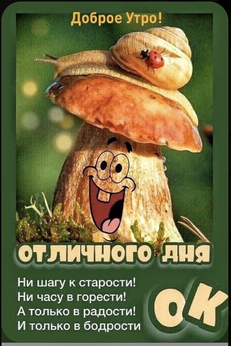 Доброе Утраё Ни шагу к старости Ни часу в горести А только в радости И только в бодрости