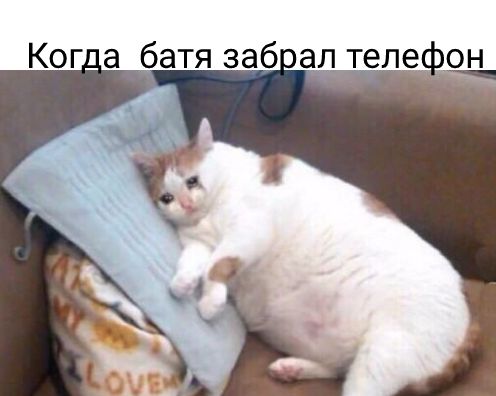 Ког а батя заб ал теле _он
