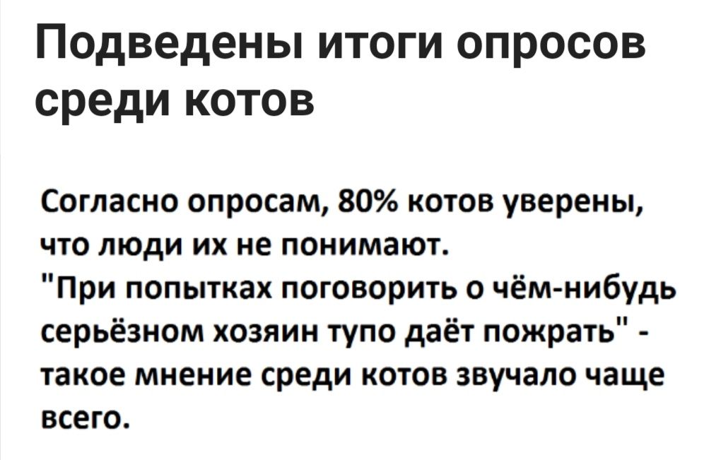 Подведены итоги опросов среди котов Согласно опросам 80 котов уверены что люди их не понимают При попытках поговорить о чём нибудь серьёзном хозяин тупо даёт пожрать такое мнение среди котов звучало чаще всего