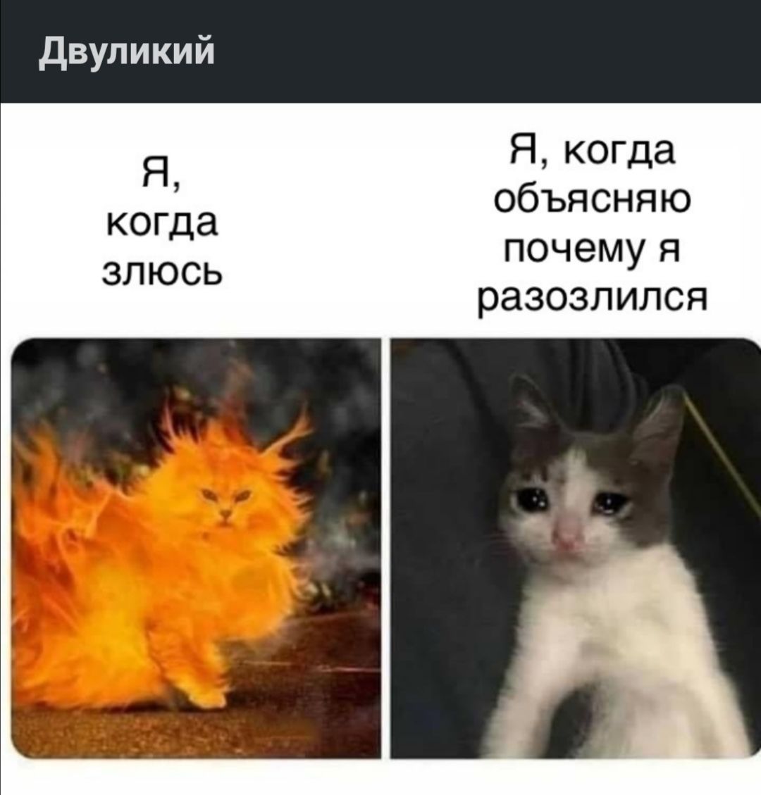 Двуликий Якогда объясняю почему я разозлился
