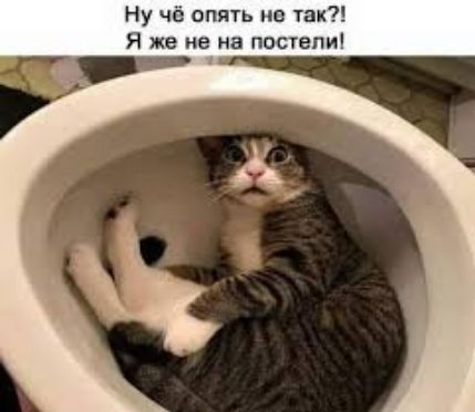 Ну чё опять не так Я же не на ПОСТЕЛИ
