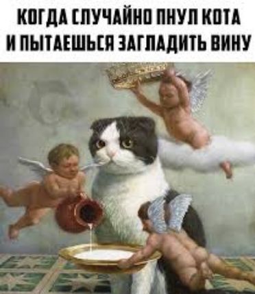 кпгдд пучдйип пнуп кпп и пышшьш шмдить вииу