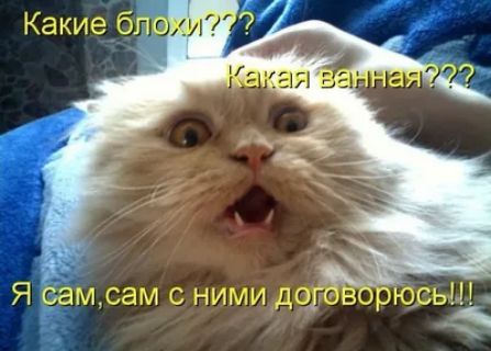 Я бам,сам сними доддворюсы!.