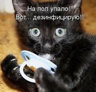 На поп упало В т дезинфицирую