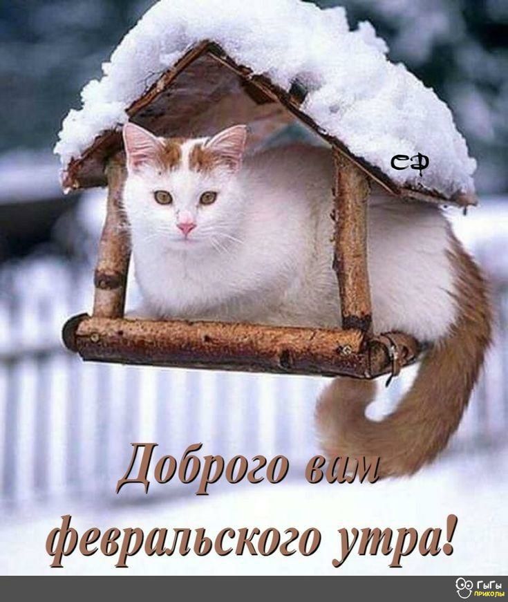 Дэбрэгв ржъскжд СЮГЫГЫ мою