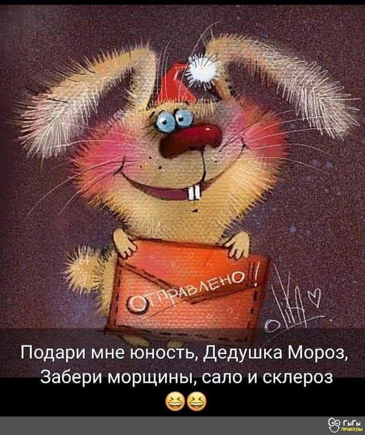 Подари мне Юность Дедушка Мороз Забери морщины сало и склероз