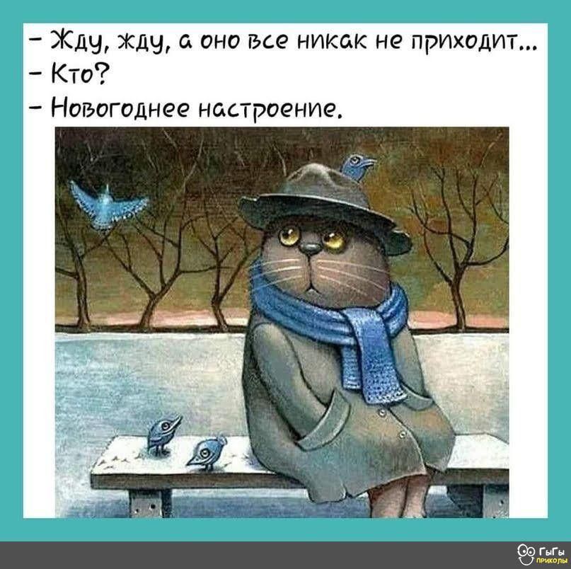 Жду жду о оно все никак не приходит Кто Новогоднее настроение