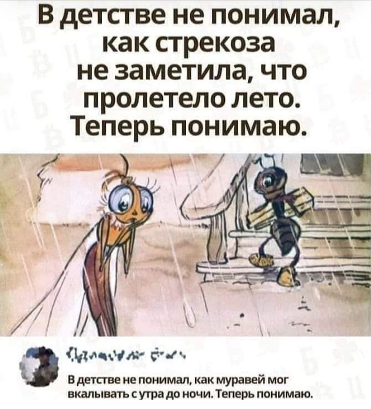 В детстве не понимал как стрекоза не заметила что пролетело лето Теперь понимаю в детстве не понимал как муравей мог вкалывать с утра до ночи Теперь понимаю