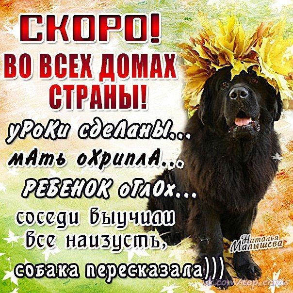ШСШЁЩ тётттмм_й ъиішшил