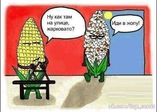 Ну как там на улице ишрковатп