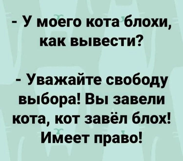 у моего кота блохи, как вывести?  Уважайте свободу выбора! Вы завели кота, кот завёл блох! Имеет право!