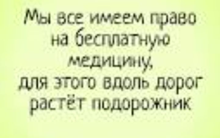 Мы все имеем право на бесплатную мшты для этого вдоль дорог растёт подорожник