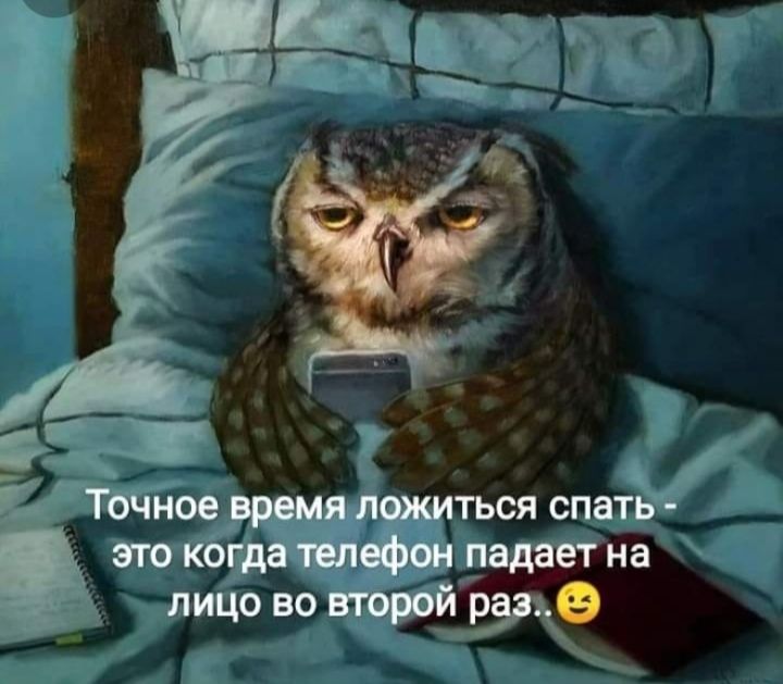 ться спатъ падаетна лицо вовтбфйщ